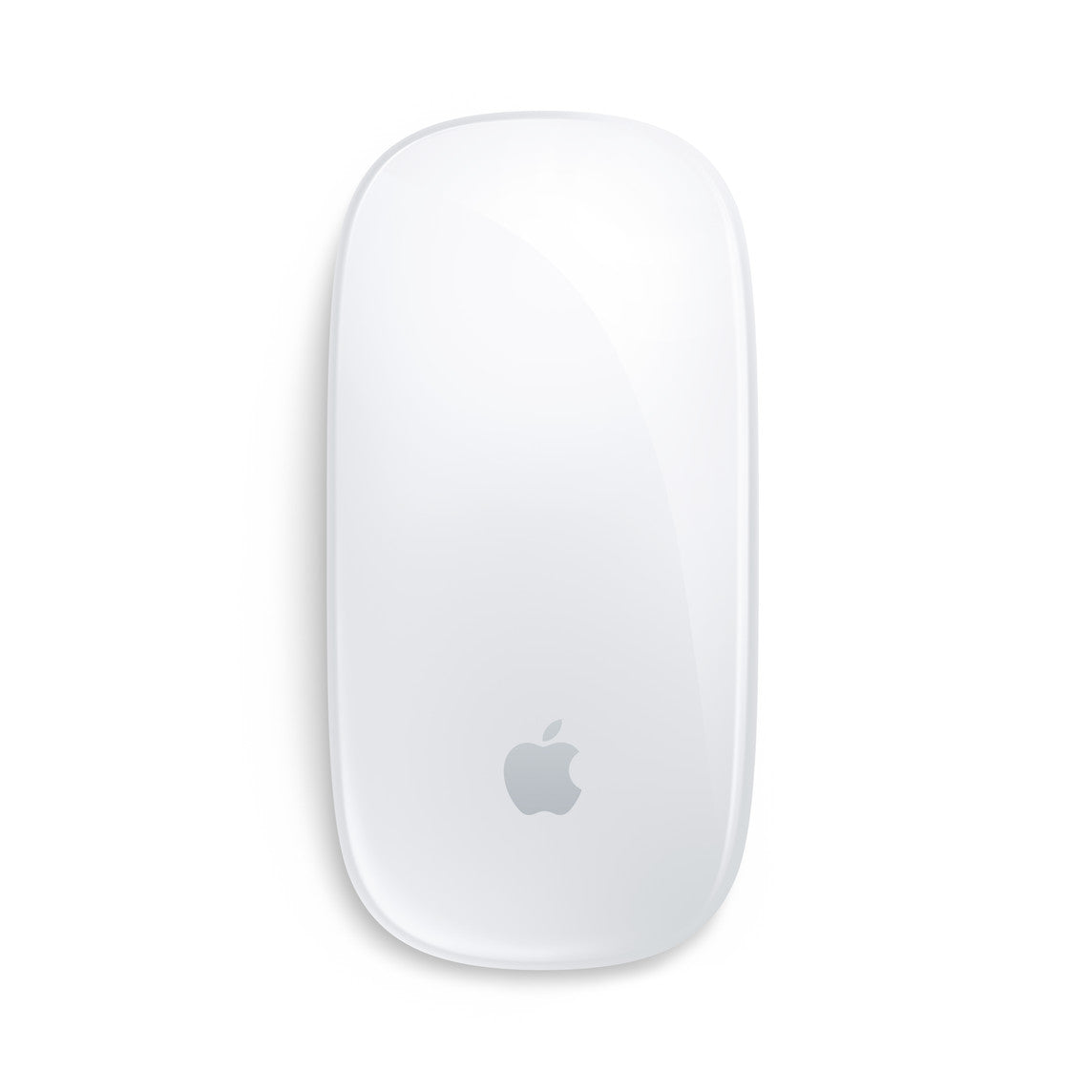 Apple Magic Mouse USB-C Egypt with a sleek white design for effortless navigation